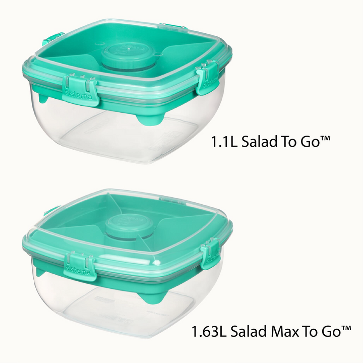 SISTEMA Salad To Go Box With Dividers Container For Dressing And Cutlery