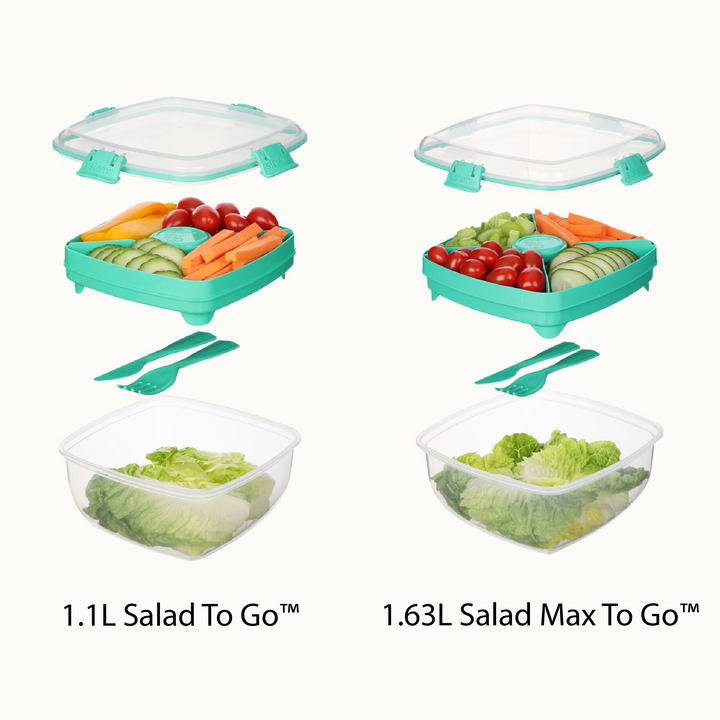 SISTEMA Salad To Go Box With Dividers Container For Dressing And Cutlery