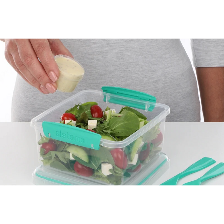 SISTEMA Salad To Go Box With Dividers Container For Dressing And Cutlery