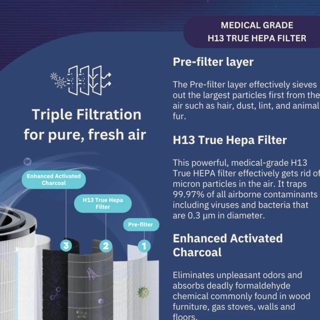 Arden Air Purifier