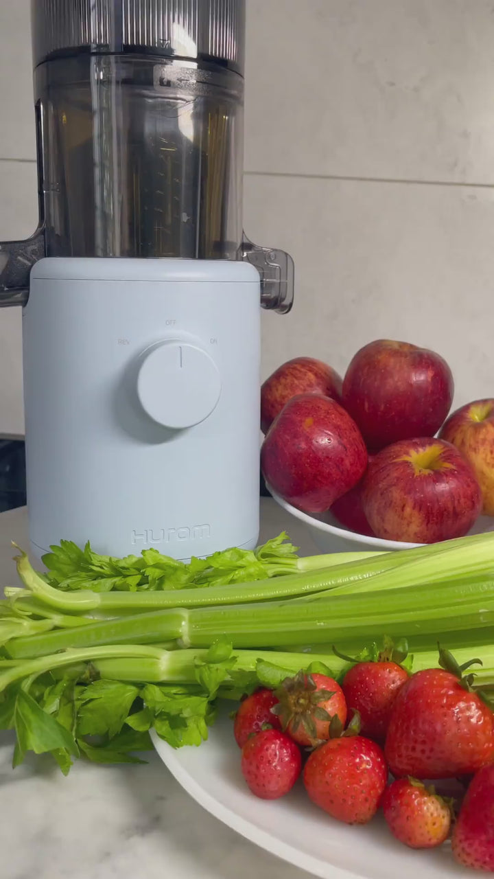 Hurom H-310A Slow Juicer