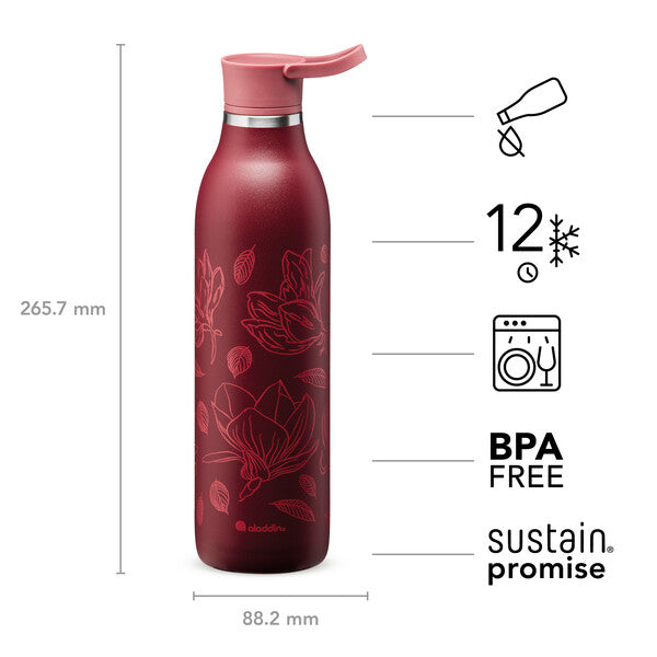 ALADDIN CityLoop Thermavac eCycle Water Bottle 0.6L