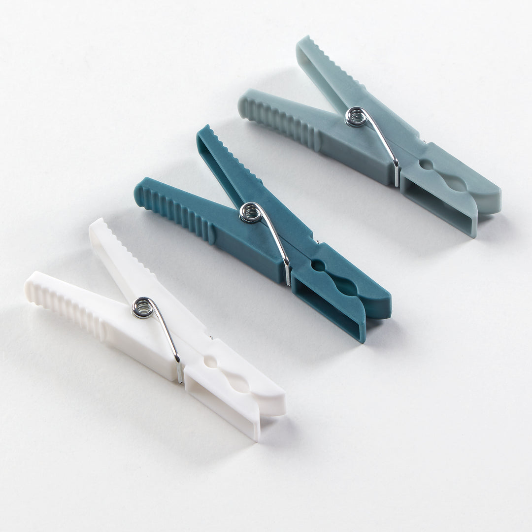 Rayen Premium High Quality Clothes Pegs Set of 24 1